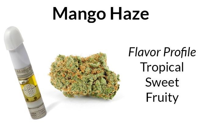 Mango Haze CBD Cartridge (Sativa) by Tribe Tokes