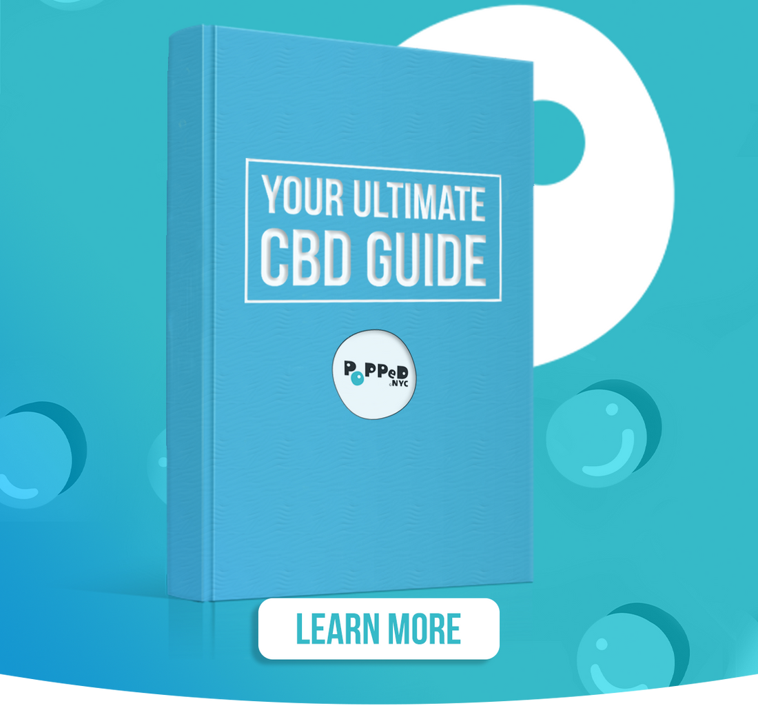 A comprehensive guide to CBD