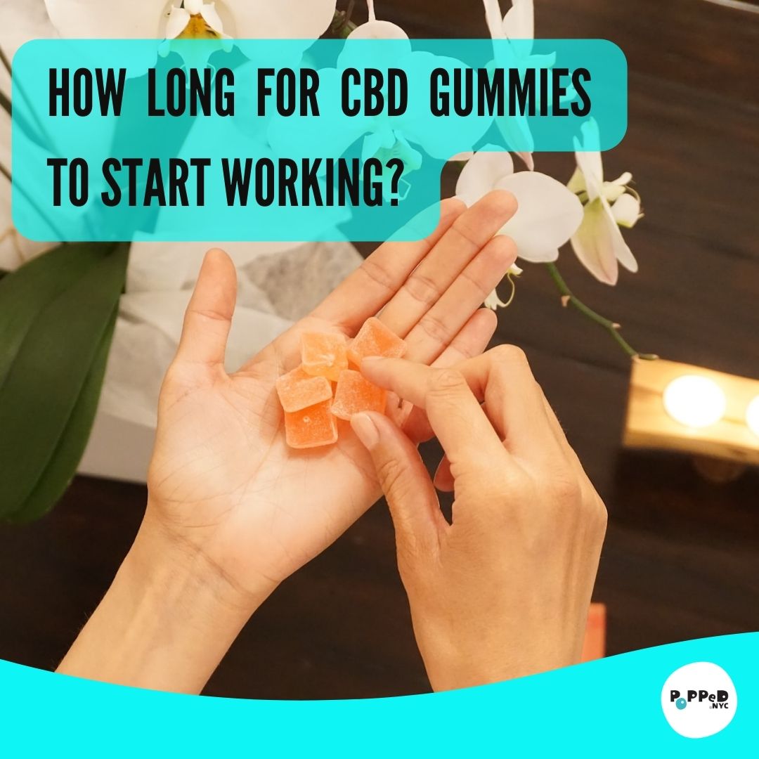 How Long for CBD Gummies to Start Working? Patience is Key